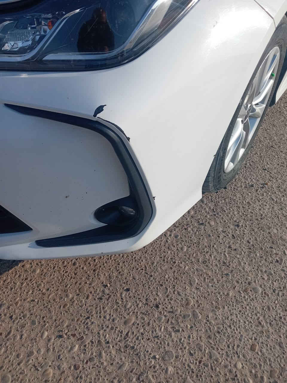 السلام عليكم من رخصه الادمن
للبيع فقط 
للبيع تويوتا كورلا هايبرد 2024
بغداد بأسمي رقم انكليزي 
شكل الخليجي 
فول مواصفات 
بصمه 
فتحه 
كراسي مدوشمه جلد 
كل الجام مغلف ضد الكسر
بيه شخطين بالدعاميه واضحه مع الصور
السونار مرفق مع الصور 
ارضيه مدوشمه جلد
تخم تاير ياباني
تحديد مسار 
شاشه جبيره 
كامره سياره جديده 
ماشيه 53
معروفه مواصفات الفول 
 واضح بل سونار داخل منشور مكاني تكريت 
السعر 145 وبيهه مجال قليل رقمي ***********
