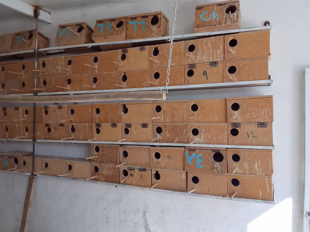 اعلانات مال الغندور،

سعر 5000/ عنوان

***********/ كركوك
