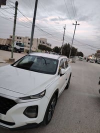 سنتافي • ٢٠١٩ • رقم اربيل