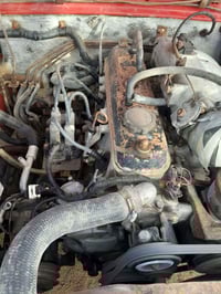 فتون • ٢٠١٣ • مكفوله