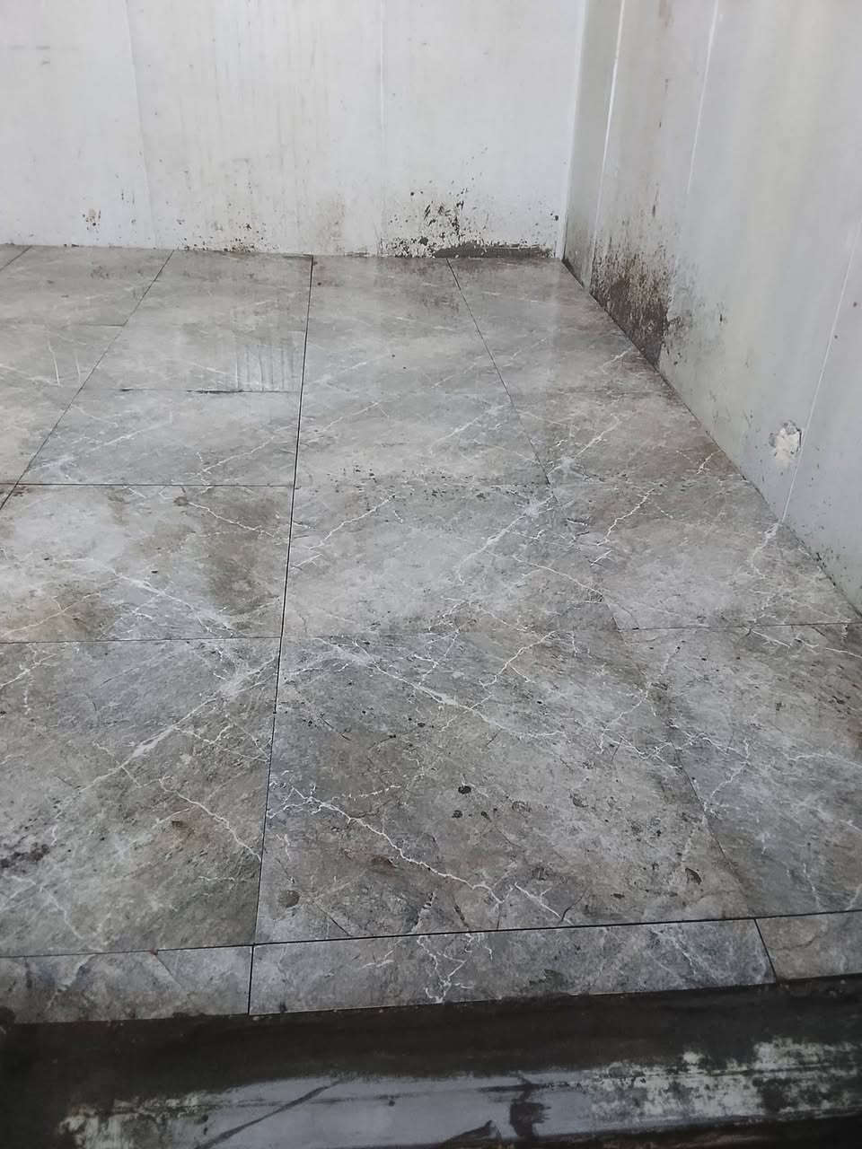 اليوم عملنه تطبيك ارضيه ولوح بشارع 60 مطعم ابوطيبه كرسته وعمل في بابل


**إذا كنت صاحب هذا الإعلان وتريد حذفه لأي سبب، رجاءا أرسل رسالة إلى الدعم الفني**