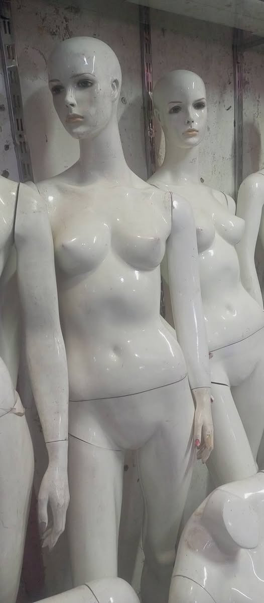 سلام عليكم
مليكانات للبيع 
سعر المليكانه الكامله  ٥٠  الف 
سعرالمليكانه النصف  ٢٥   الف 

مكاني نجف
***********
