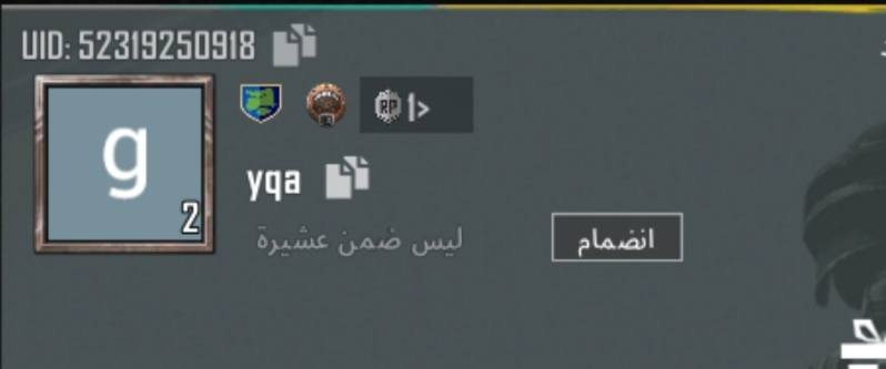 اسماء ببجي خام للبيع كل واحد وسعره دز سكرين او اكتبة و ارد عليك بسعره 🫀


**إذا كنت صاحب هذا الإعلان وتريد حذفه لأي سبب، رجاءا أرسل رسالة إلى الدعم الفني**