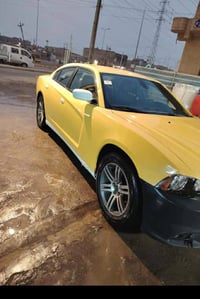 جرجر • ٢٠١٣ • ذي قار