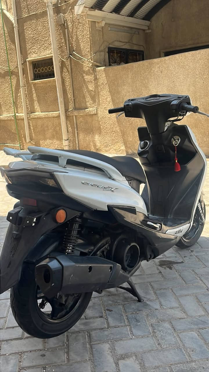 السلام عليكم
سكنس شمعه حديث موديل 2019 حديث نوزل خطين ياباني ستاند حساس وقبق نفخ (يابانيه) الدراجه
الدراجه كفاله عامه من اي نقص 
مكينه بلاديه مابيه اي نقص الدراجه 
كهربائيات كله شغاله مابيه نقص واسعارهن معروفه الموشراي ليراسل ولا يسال 
مكاني بغداد الاعظميه
شراي يتصل  
رقمك ***********
سعر 1550 وبيه مجال هذا السعر
