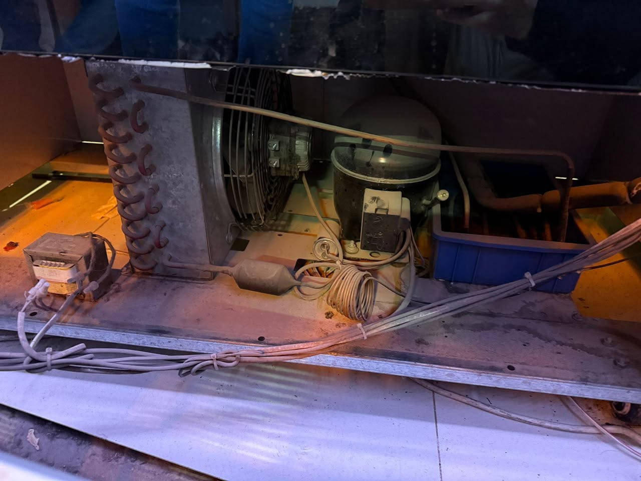 الجوده والمصداقيه عنواننا اللهم صلِّ على محمد وآل محمد 🌺
تم صيانة براد وعارضه فواكه 
ورشة الرضا صيانة وتصليح السبالت والثلاجات والمجمدات النجف الاشرف يتوفر لدينا صيانة موقعيه ابو حسين 
***********
#النجف
