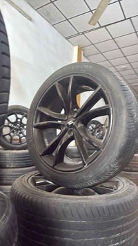 مراوس • كربلاء طويريج