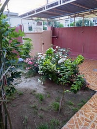 حي العسكري • ٢٥٠م • ٣ غرف