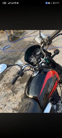 بوكسر • مرقم • اوراق كامله