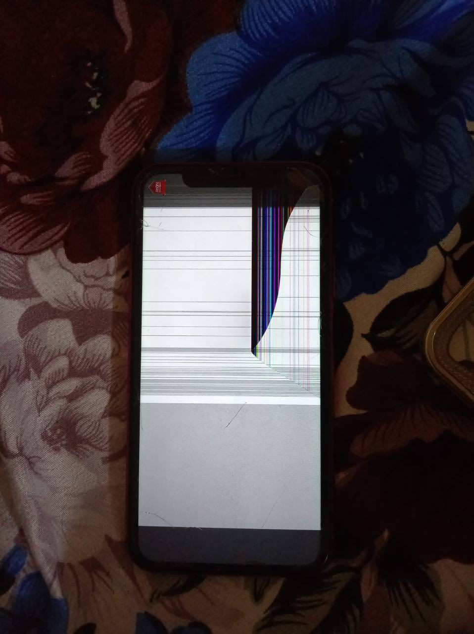 ايفون ١١عادي للبيع كدام عينك الشاشه تحتاج تبديل٧٩ صوت السماعه ناصي مكاني دوانيه مراوس حسب القناعه ونطي فرق سهله مو شراي لتجي شراي كل الهلا بيك ‭٠٧٨٨ ٩٨١ ٣١٩٠‬
