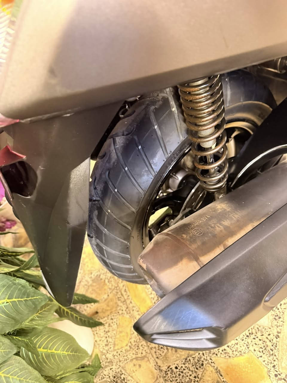 ان ماكس لوك شركة موديل حديث


**إذا كنت صاحب هذا الإعلان وتريد حذفه لأي سبب، رجاءا أرسل رسالة إلى الدعم الفني**