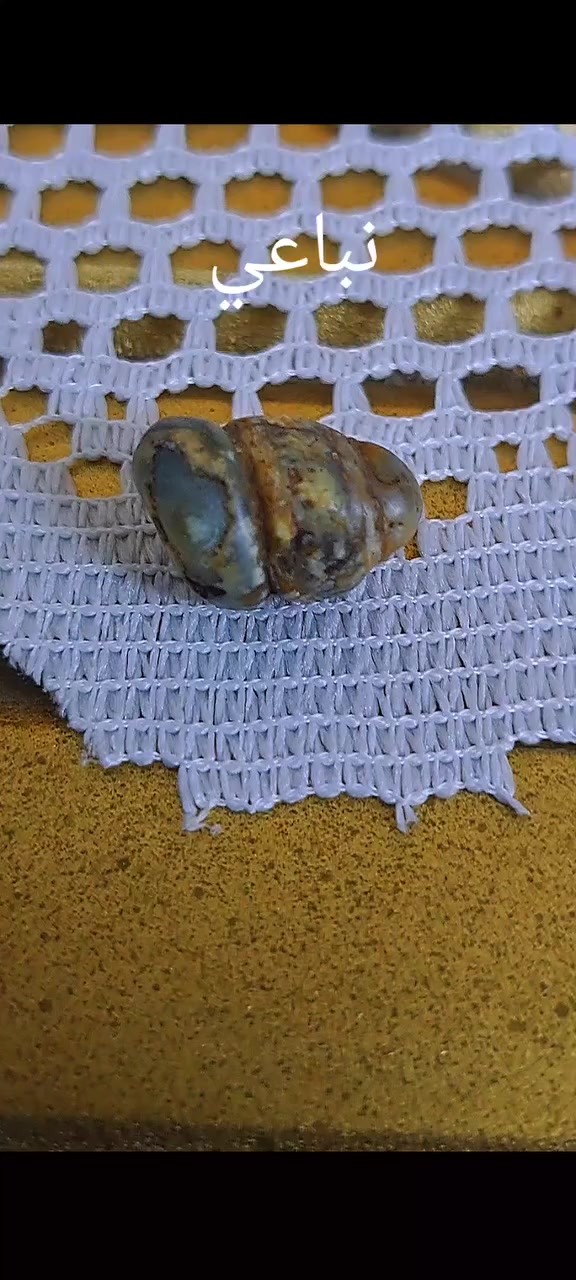 نباعي ٣ لويات دمم ضخم بعد بترابه


**إذا كنت صاحب هذا الإعلان وتريد حذفه لأي سبب، رجاءا أرسل رسالة إلى الدعم الفني**