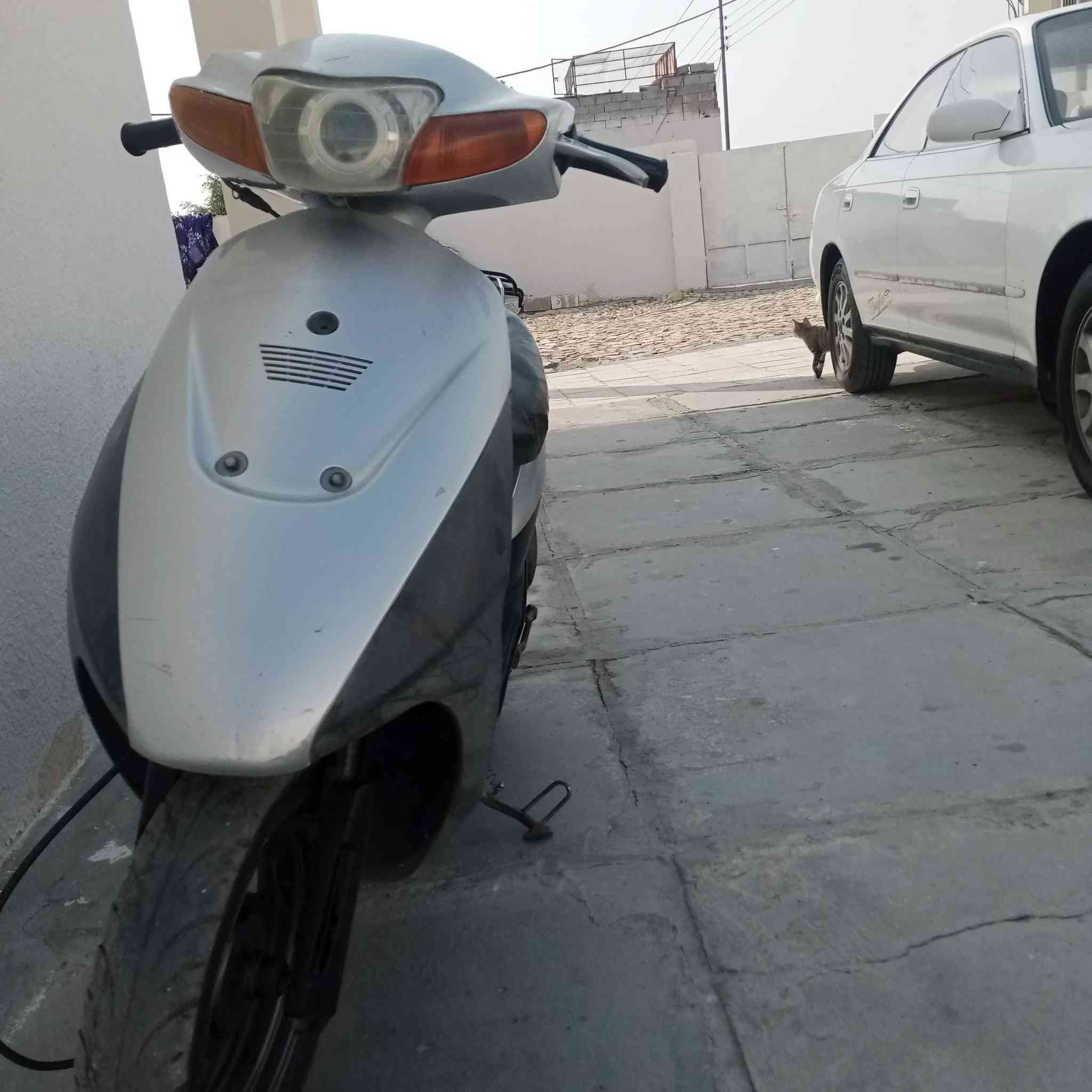 هاي الذبانه للبيع مكاني ميسان قضاء الكحلاء والسعر 225


**إذا كنت صاحب هذا الإعلان وتريد حذفه لأي سبب، رجاءا أرسل رسالة إلى الدعم الفني**