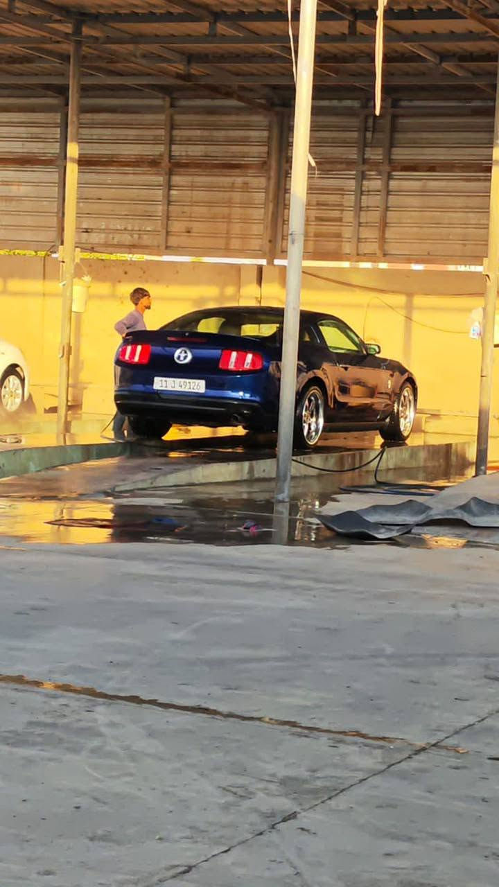 سلام وعليكم
موستنك بريميره للبيع او مراوس شعندك مراوس دزلي 

كير مكينه اكسل تبريد كله بشرط  صح موديل 10 بس ترايك مال زيرو 

صدر خلفي امامي جديد 

سياره ما ماشيه جانت مضمومه كلشي بيه جديد ع شرط ماكو اي شي بيه ملعوب 

 حادثه جاملغ غير جاملغ رصعه ماكو 

تخم تأيرات قبل 3ايام جدد شديته

بس الويل أخذته 900 دولار 

وسياره صارف عليه صرف كومه حته الكامره ع بلاد بل سبايدر والمرايه الاماميه تعرض 

 كومه أمور بيه بعد ما ذاكرهن لا تقارنوها بسيارات تعبانه اكو كلشي بسوك حسب النضافه 

رقم بغداد جديد تحويل ثاني يوم 

العنوان الاعضميه 

الرقم ***********
