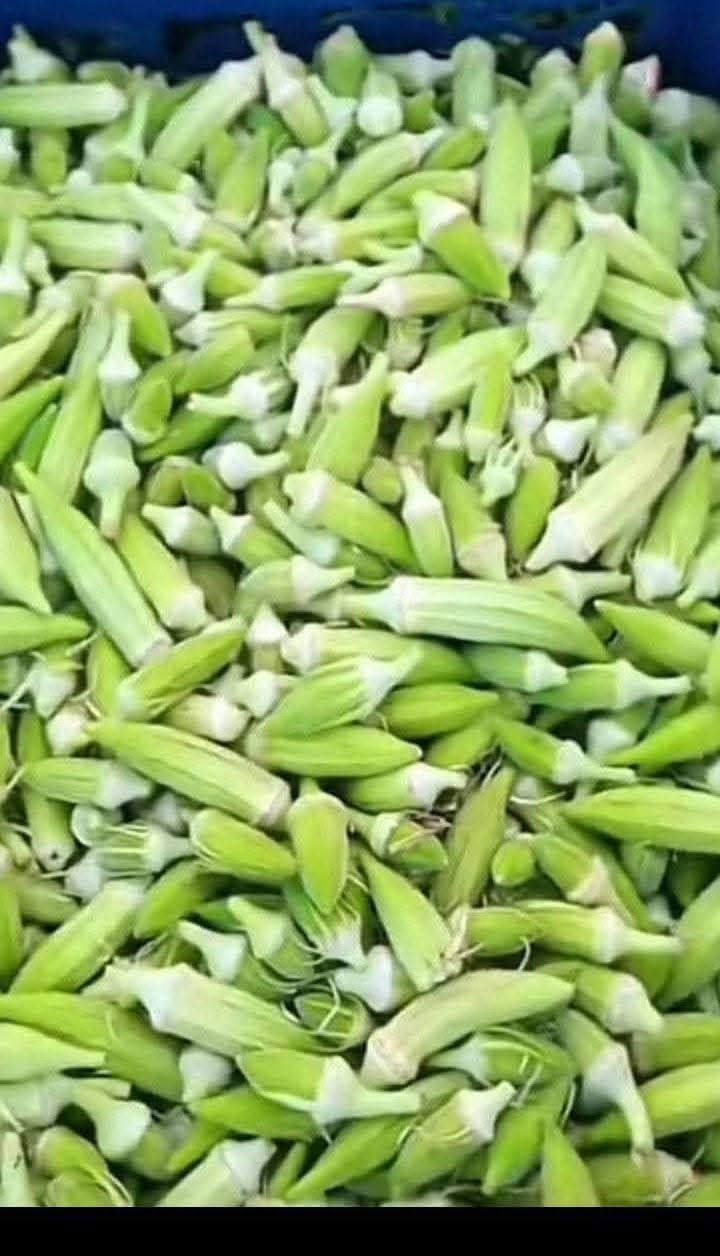 السلام عليكم
حوي بانيه جديد كل يوم بيوم الكيلو ب1500 لو بيه هم ع الف 1500 الحجز  واتساب واكو توصيل
***********
