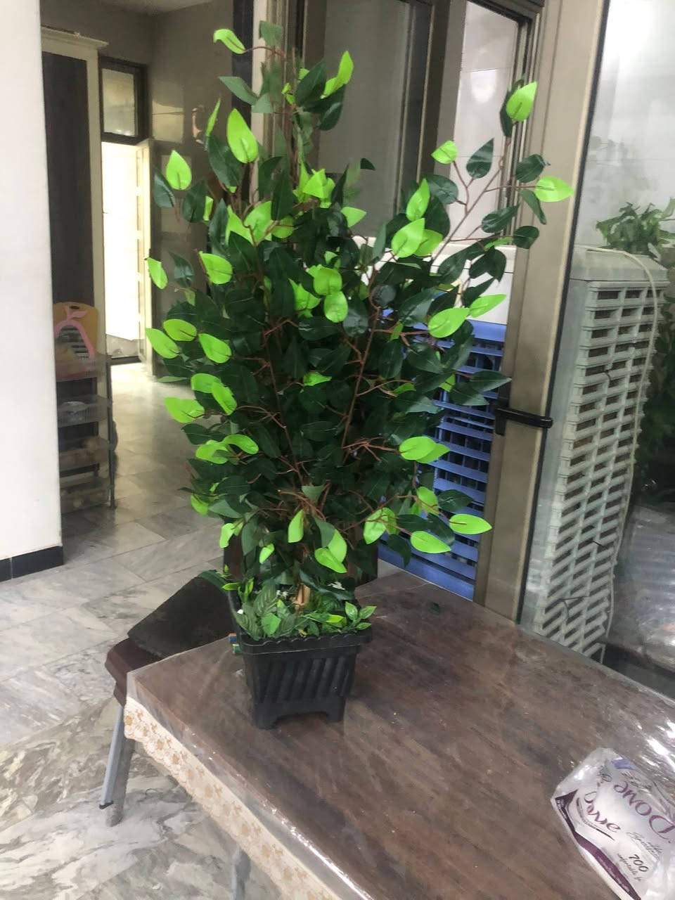 نباتات صناعية جديدة غير مستعملة 
الشررراي خاص


**إذا كنت صاحب هذا الإعلان وتريد حذفه لأي سبب، رجاءا أرسل رسالة إلى الدعم الفني**
