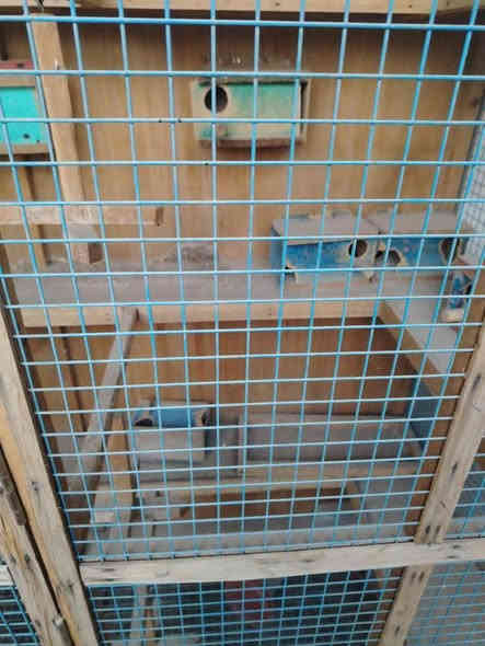 *********** متاح
