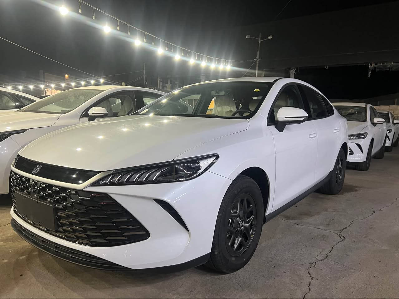 كوين پلاس
ناو زرد
121$سافي
وتس اب
*********** أربيل, العراق
