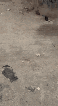 سلام عليكم دراجه للبيع مديل 11 سالهه شهر من طالعه ختم واحد مكان كربلاء الحر ***********
