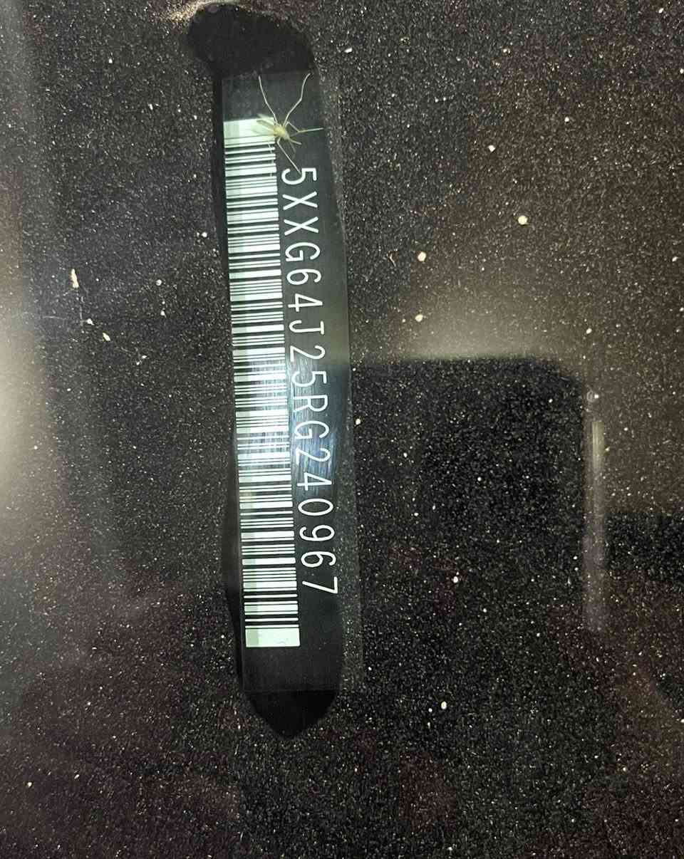 السلام عليكم من رخصت مدير الكروب سياره موديل 24 /k 5 ماشه 12الف مواصفات موجوده بل النشور السعر 170وبيه مجال السياره بدون رقم وتترقم جميع المحافظات ملاحضه اني مكلف بل النشر..وهذا رقم صاحب السياره..***********
