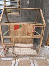 قفصين • طيور زينة • جبير وسط