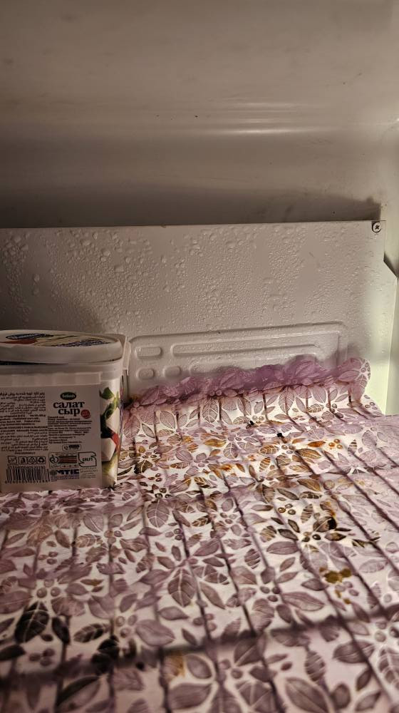 الثلاجة 165 بيها زنجار بسيط مو خياس مو جواها
الغسالة جديده مستخدمه مره وحده 8 كيلو هيتاشي 75 كربلاء, العراق


**إذا كنت صاحب هذا الإعلان وتريد حذفه لأي سبب، رجاءا أرسل رسالة إلى الدعم الفني**