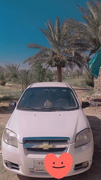 افيو ٢٠١٠ • خليجي • رقم سليمانية