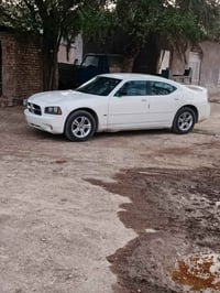 نضيف • ٢٠١٠ • رقم سليمانية