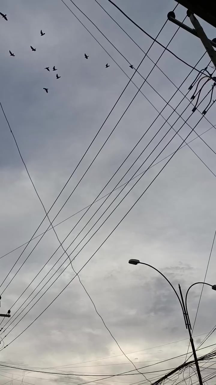 من رخصت المدير للبيع كفاله عامه ماعده شخط بل باب الخلفي رقم كربلاء كير عادي مكان الشطره ***********
