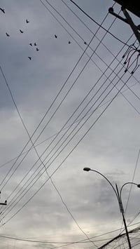 كيا اوبتيما • كفالة عامة • رقم كربلاء