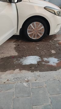 سيراتو • ٢٠١٧ • قطعة وحدة