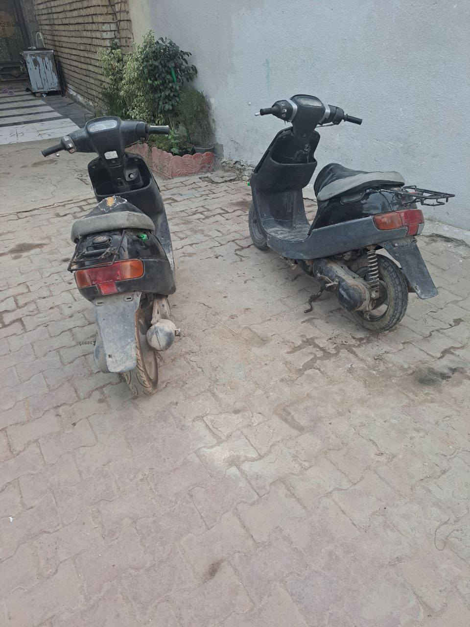 مطفيات صارلهن هواي قيم واخذ


**إذا كنت صاحب هذا الإعلان وتريد حذفه لأي سبب، رجاءا أرسل رسالة إلى الدعم الفني**