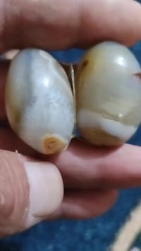 زوج سليمانيات دهن ودبس محبة عامة عكد لسان خضوع طاعة عمياء معلومات اكثر...