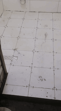 خلفه متفرغ حالين شغل درجى اولى ***********
