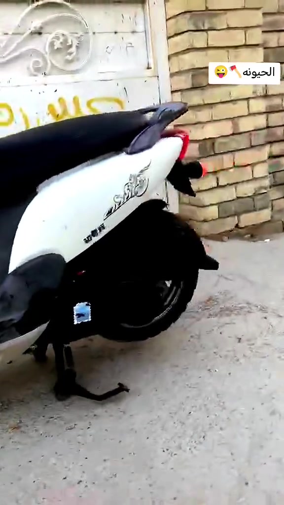 درجه فلافل البيع السعر ٨٠٠ بيه مجال المكان حي الجهاد


**إذا كنت صاحب هذا الإعلان وتريد حذفه لأي سبب، رجاءا أرسل رسالة إلى الدعم الفني**