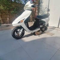 فراشة • فحل • شغاله