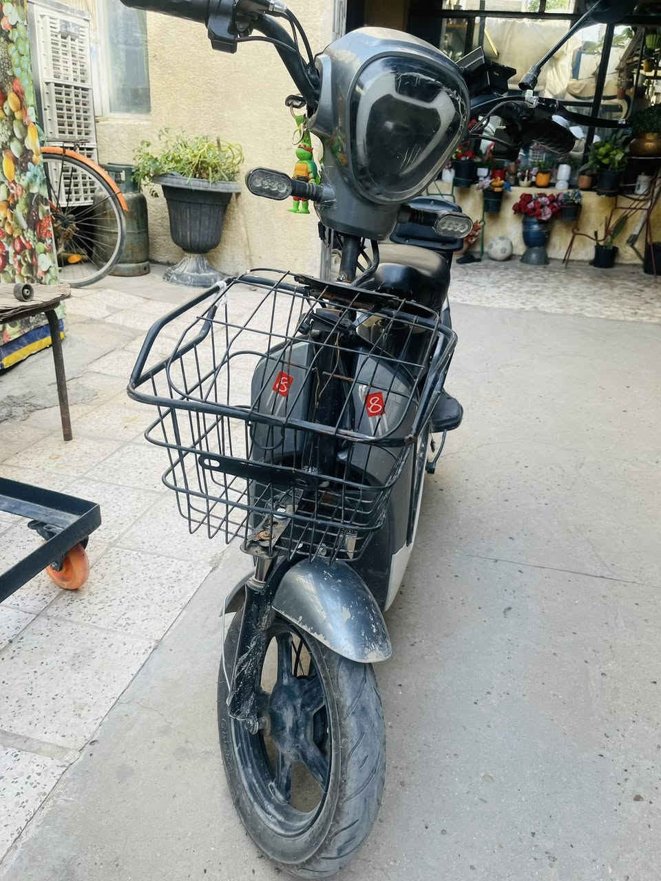 دراجه شحن البيع سعر 170


**إذا كنت صاحب هذا الإعلان وتريد حذفه لأي سبب، رجاءا أرسل رسالة إلى الدعم الفني**