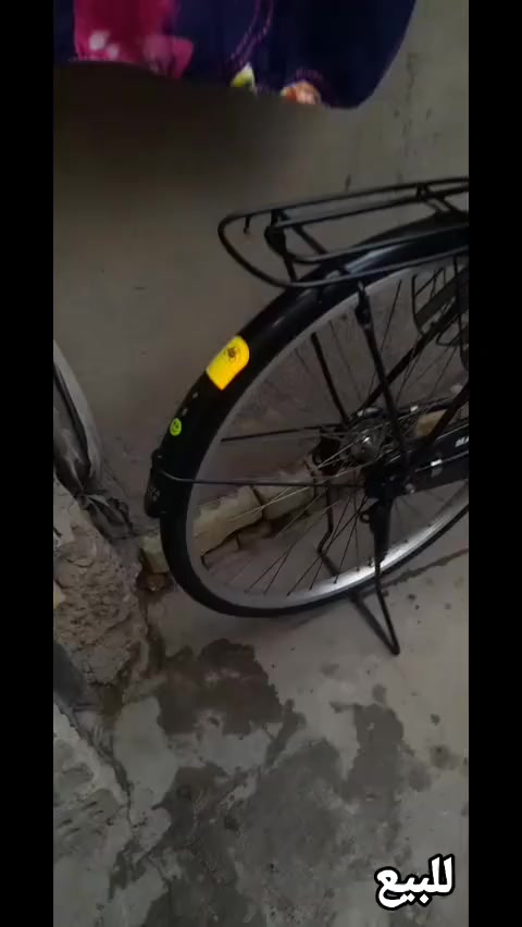 سلام عليكم شباب🖐🏽
ــــــــــــــــــــــــــــــــــــــــــــــــــــــــــــــــــــــ
بايسكل بناتي للبيع المواصفات:
لون اسود™️
موديل 2016☘️
ياباني مال حاويه㊗️
بايسكل نضيف برغي ما مفتوح بيه اي عيب
ما بيه على شوف العين🧿
السعر: ٩٥ الف وبيه مجال للطيبين🖐️
مكاني بغداد _ دولعي _ شارع الغاز 
للتواصل راسلني متواجد🫖


**إذا كنت صاحب هذا الإعلان وتريد حذفه لأي سبب، رجاءا أرسل رسالة إلى الدعم الفني**