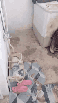 يالله سلام عليكم
دار للبيع مساحة 50

يحتوي علا غرفه نوم وصاله ومطبخ وحمام 

 الموقع ألأمين الثانيه بداية شارع المكاتب 

السعر 10$
موجود واتساب فقط ***********
