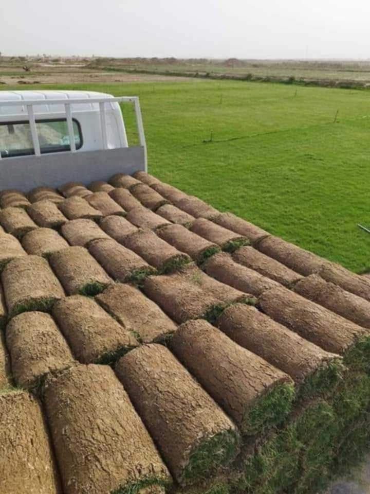 الحمد لله


**إذا كنت صاحب هذا الإعلان وتريد حذفه لأي سبب، رجاءا أرسل رسالة إلى الدعم الفني**