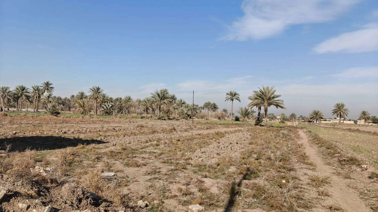 السلام عليكم ورحمة الله كاع للبيع 5 دونم سند طابو صرف في ابو غريب شارع التلة قرب الجسر الاسود يوجد فيها كافه الخدمات مدارس وماء و شارع تبليط الاستفسار الاتصال على الرقم *********** واتساب
