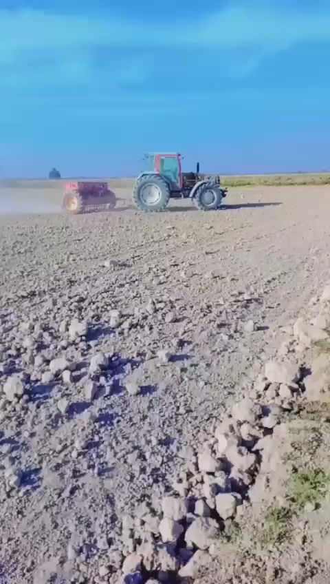 أرض زراعية طابو 25 واسط الزبيدية مساحتها 75دونم وكما موضح بالصور طبعا هذا عمل السنه الماضيه حالياً هي بور لعدم التفرغ لها...... تبعد عن شارع نعمانية زبيدية 300متر .نهرها وطريقها لوحدها وحصه مائية ومضخه عليها باقي التفاصيل يتفضل خاص متواجد ع الخاص


**إذا كنت صاحب هذا الإعلان وتريد حذفه لأي سبب، رجاءا أرسل رسالة إلى الدعم الفني**