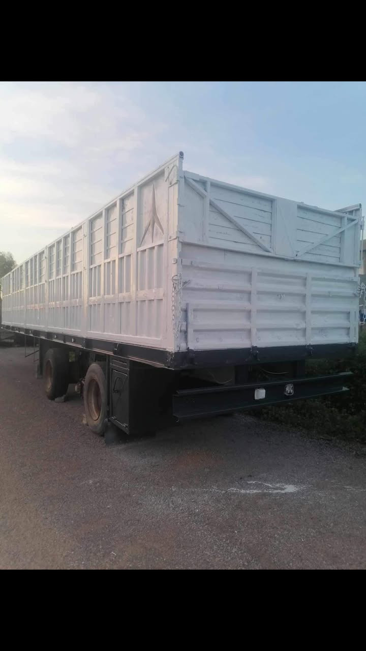 سلاو هاورين بؤدي 3دينگل بؤ فرؤشتن شون هه ولير ژماره ي موبال***********وه تس ئاپ
