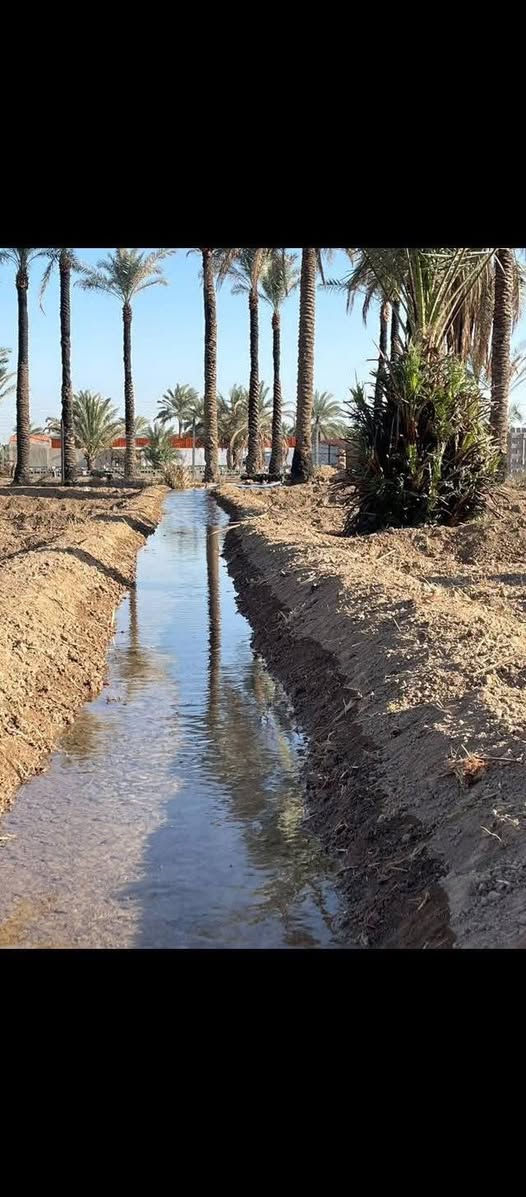 السلام عليكم 🏗️

عرض جدآ مناسب الى اصحاب الاستثمار و الترفيهه 🏡

المساحه :- دونم ( 2500 ) متر
الموقع :- المدائن _ منطقة باوي 
الوجه :- 52 متر 
عدد النخيل :- 42 
مسيج PRC بالكامل 
جنس الارض :- طابو مناصفه سند ( 25 ) 

الموقع مناسب لبناء شاليه او مزرعه او استثمار 📄

م :- السعر مناسب جدآ  ؟ 

للعرض والطلب والاستفسار ! 
مراسله خاص أو اتصال *********** 
متوفر واتساب ✅

بيع _ شراء _ تعقيب _ بناء 🏛️
