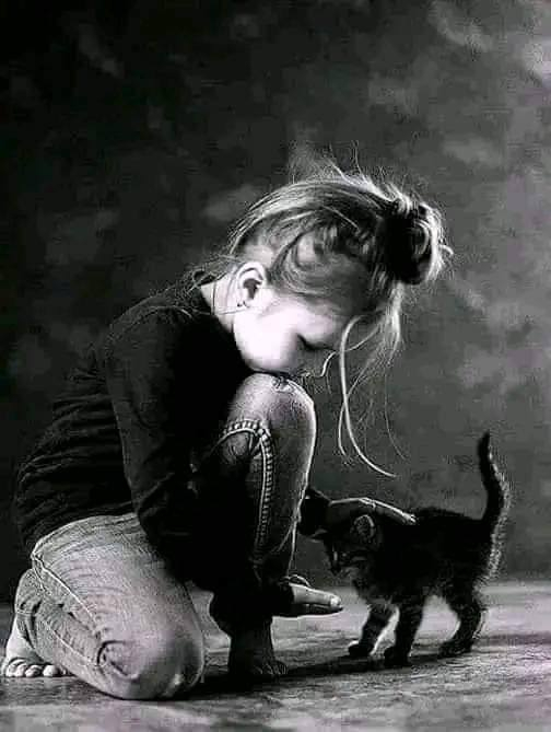 اخواني السلام عليكم ورحمة الله تعالى وبركاتة.
يوجد بيت بشارع ابو دوخه 
وخلف مدارس اهل الكساء عليهم السلام... 

مساحة البيت 180م
يحتوي على كراج سياره 
حديقة.. 
وانتم بكرامه حمام خارجي. 
مطبخ.... استقبال....هول كبير
حمام +صحية تكرمون... 
غرفتين نوم سقف صب.. 
منور جانبي.. 
منور وممشى خلف الدار.. 

بتونه 7م×7م سقف البيتونه سنادويج... 
أستاره... 
النواقص بياض ولبخ

عقد زراعي 117

سعره خمسون مليون دينار عراقي وبي مجال بسيط حق الجية.. 

وهذا رقم صاحبه ***********
ابو علي التميمي... 

والتوفيق للبائع والمشتري... 

         ملاحظه

انا مكلف بالنشر فقط
