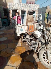 ستوته ام تي ار • كلك • قضاء القاسم بابل