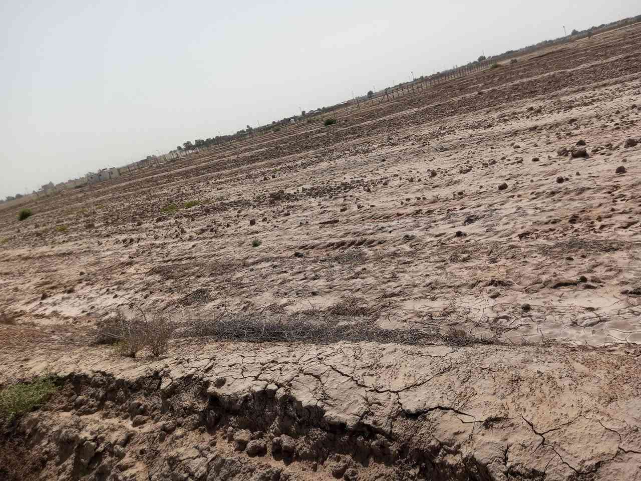 سلام عليكم أرض طابو زراعيه للبيع طريق ديوانيه دغاره قرب معمل الطابوك 11دونم نزله التبليط الجديد  تصل ***********
