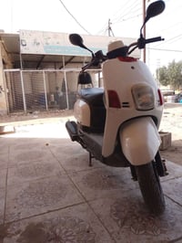 بوليس • ٤٩ • كوت