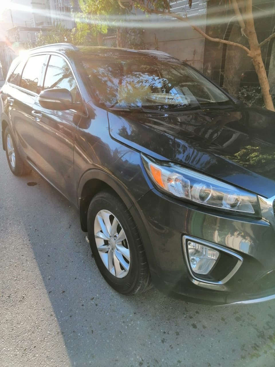 سورنتو 17 للبيع امريكي 4سلندر 5 راكب رقم أنبار مكان السيارة بغداد نص جاملغ صبغ السعر 162 الأتصال على ***********
