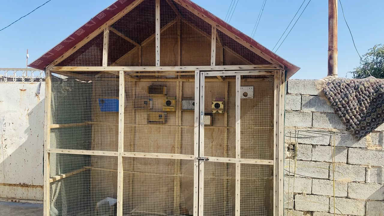 ***********//125 125 وبي مجال/
